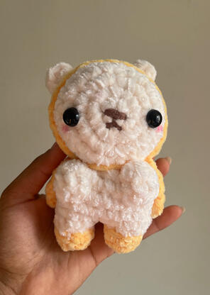 Raincoat Bear $25