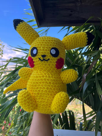 Pokémon (Large/Simple) $60